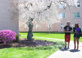 UB Barnum Hall